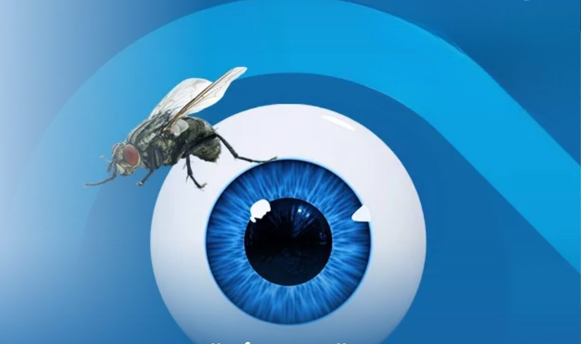 علاج الذبابة الطائرة في العين